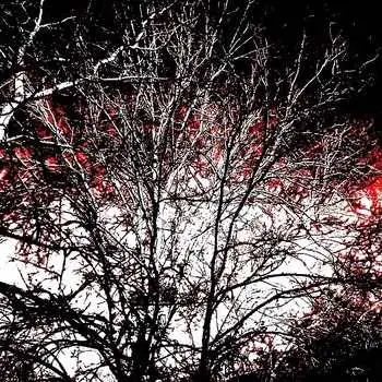 Inner Suffering (UKR) : Demo